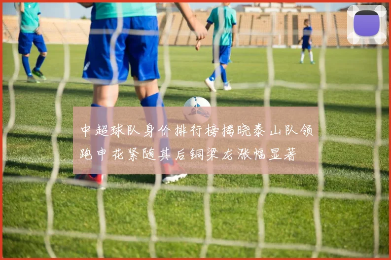 中超球队身价排行榜揭晓泰山队领跑申花紧随其后铜梁龙涨幅显著