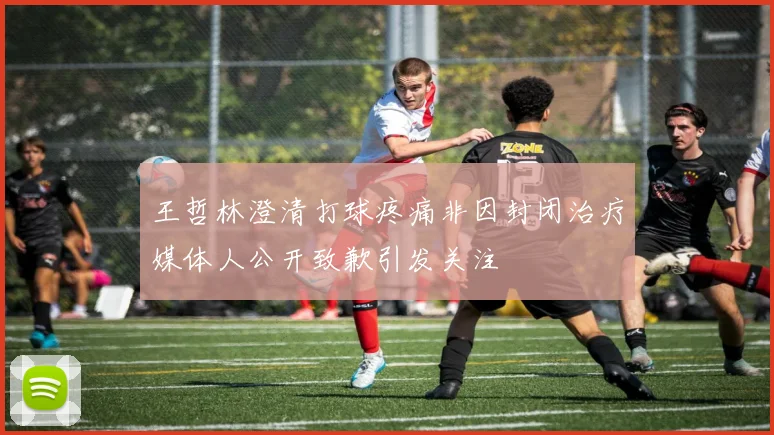 王哲林澄清打球疼痛非因封闭治疗媒体人公开致歉引发关注
